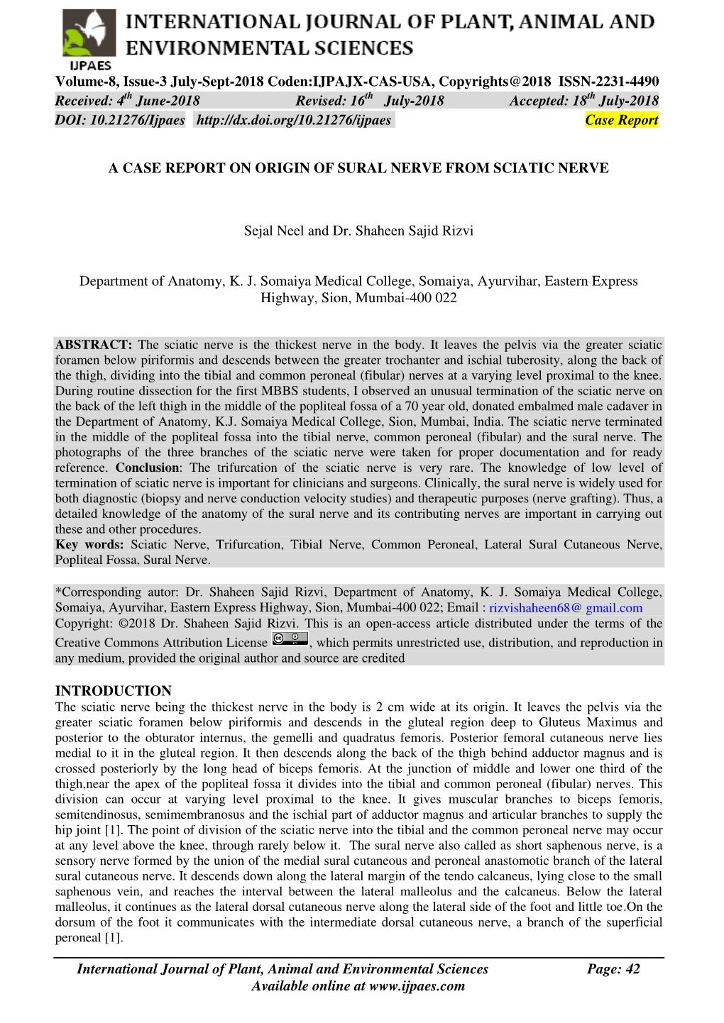 A Case Report on Origin of Sural Nerve from Sciatic Nerve