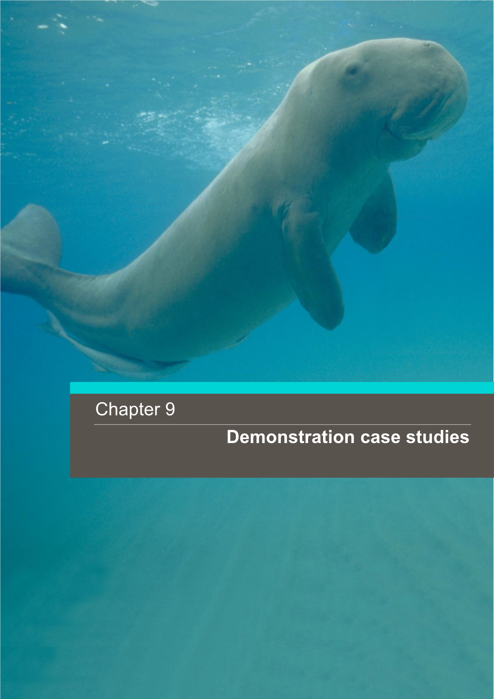 Chapter 9 Demonstration Case Studies
