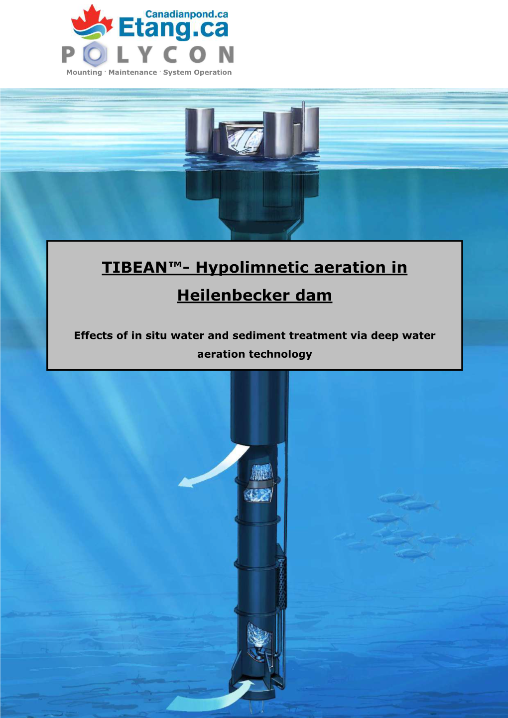 TIBEAN™- Hypolimnetic Aeration In