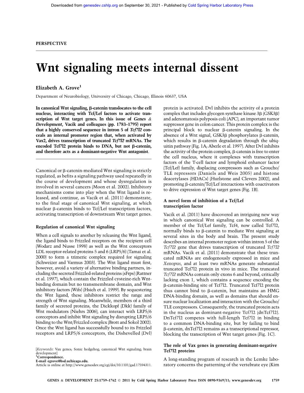 Wnt Signaling Meets Internal Dissent
