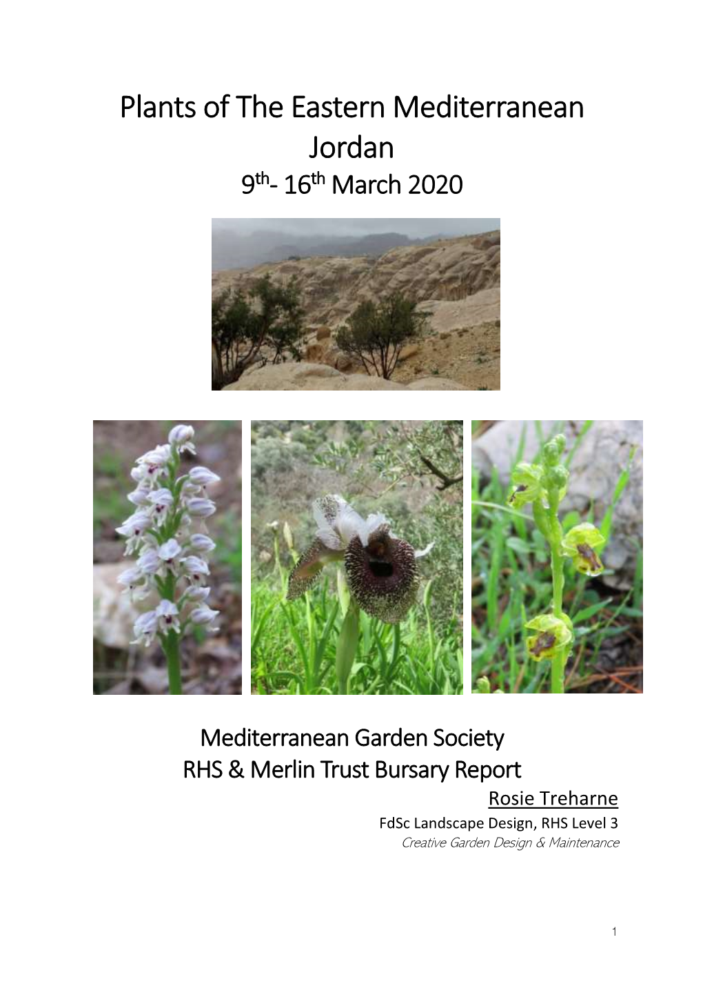 Plants of the Eastern Mediterranean Jordan 9Th- 16Th March 2020