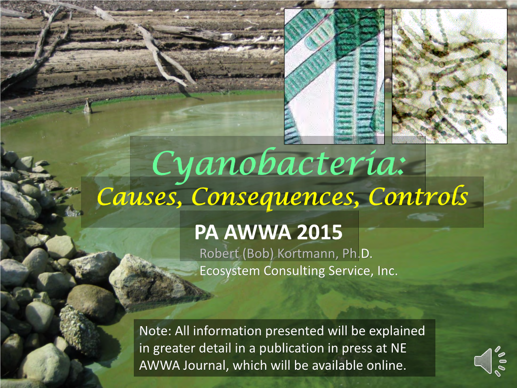 Cyanobacteria: Causes, Consequences, Controls PA AWWA 2015 Robert (Bob) Kortmann, Ph.D