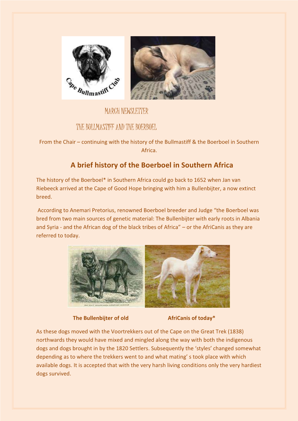 March Newsletter the Bullmastiff and the Boerboel