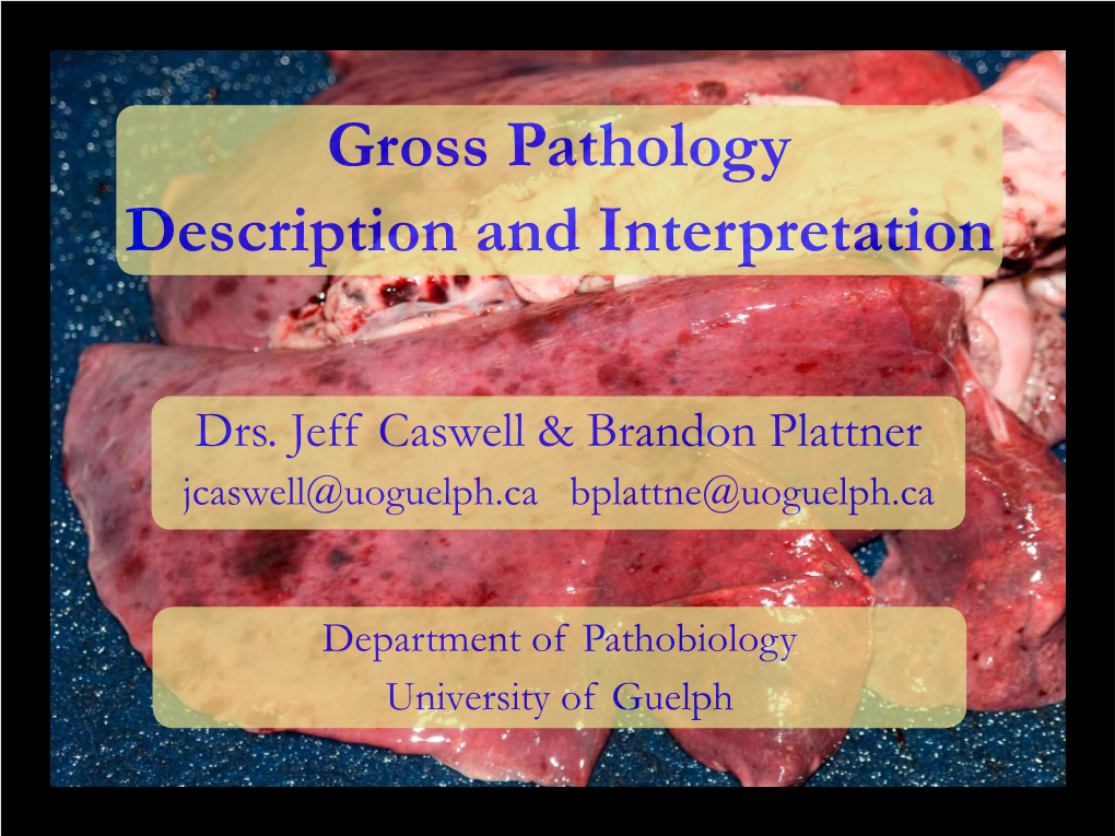 Gross Pathology Description and Interpretation
