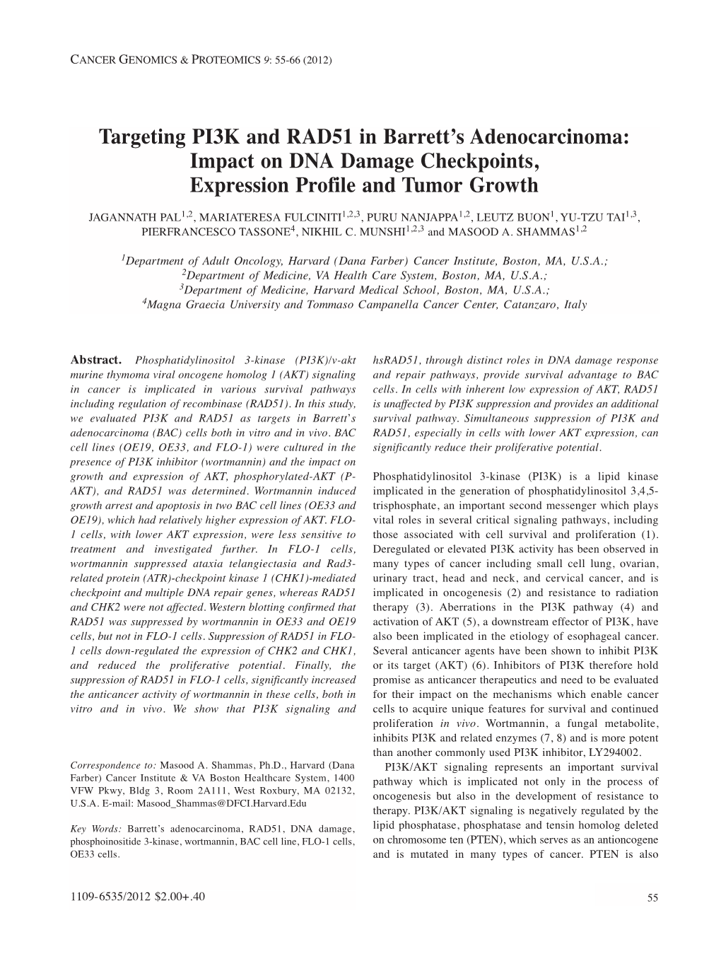 Targeting PI3K and RAD51 in Barrett's Adenocarcinoma: Impact on DNA