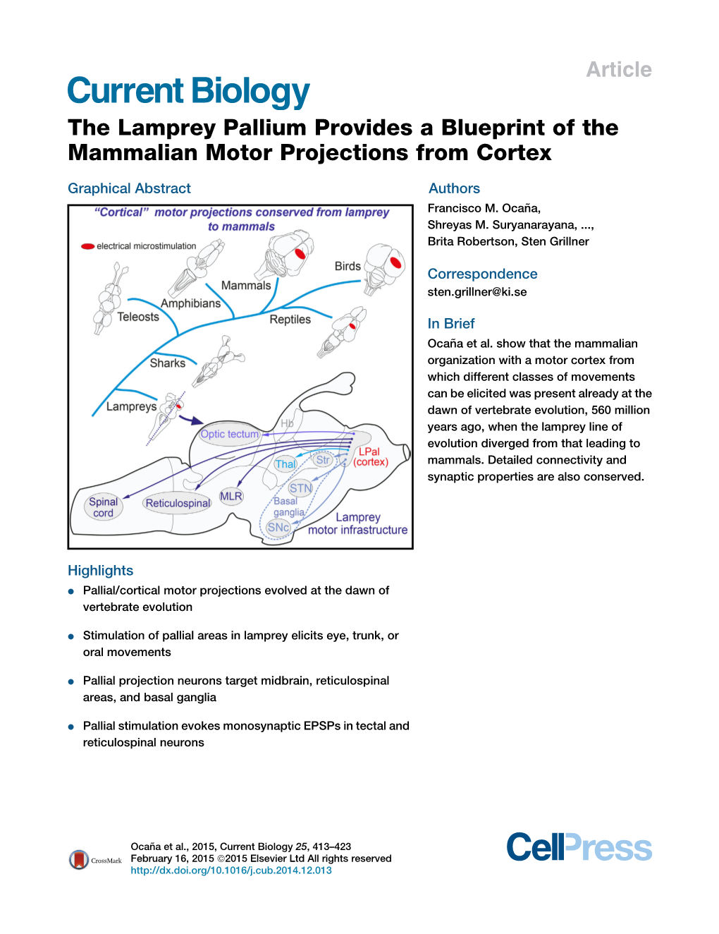 The Lamprey Pallium Provides a Blueprint of the Mammalian Motor Projections from Cortex