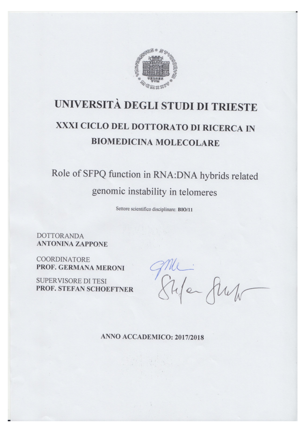 Phd Thesis Antonina Zappone.Pdf