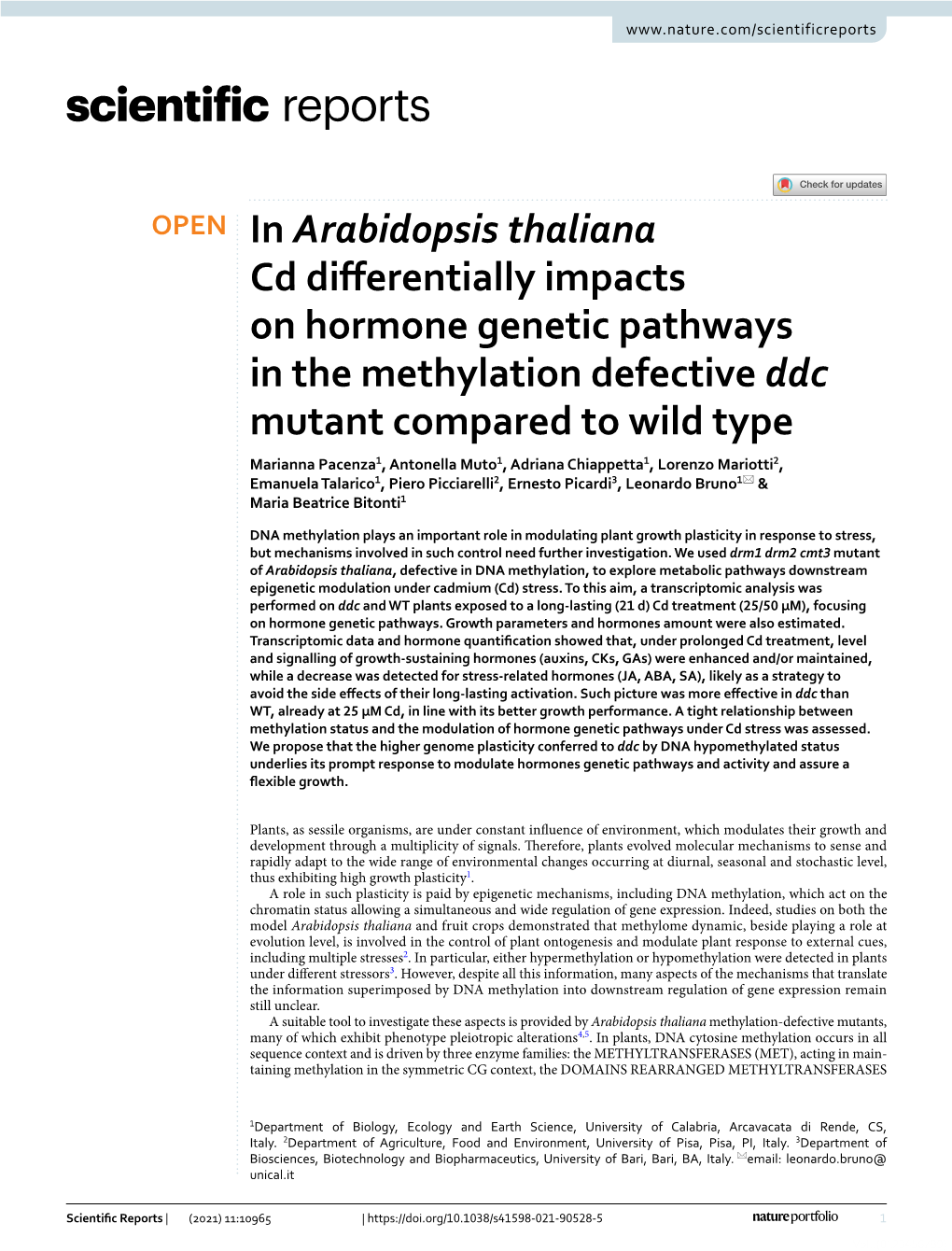 In Arabidopsis Thaliana Cd Differentially Impacts on Hormone