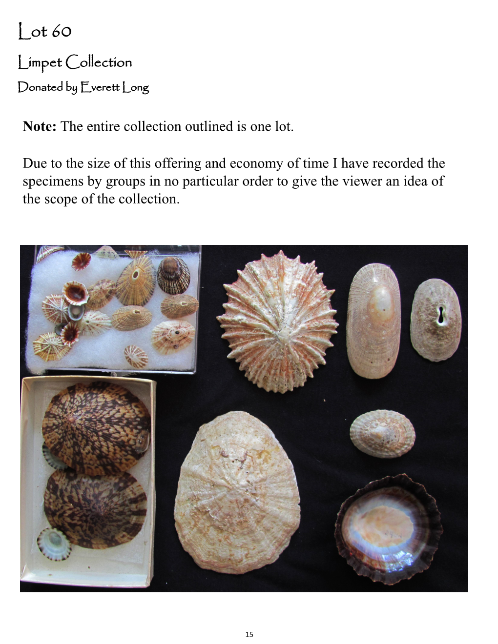 Lot 60 Limpet Collection Donated by Everett Long