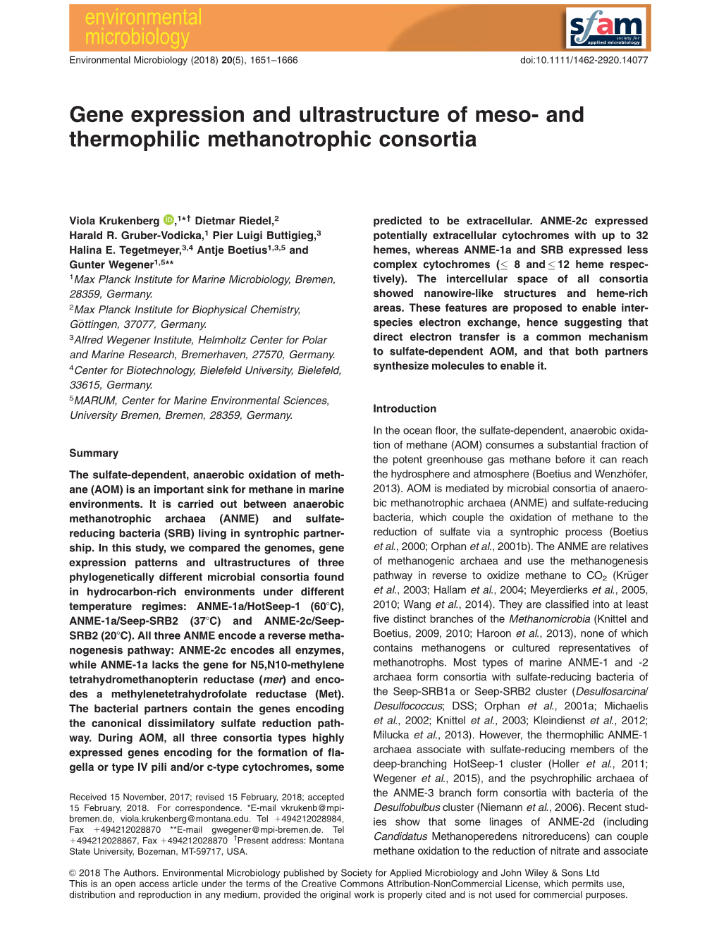 Gene Expression and Ultrastructure of Meso&#8208