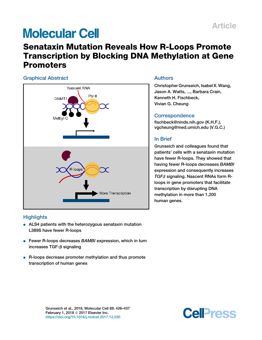 Senataxin Mutation Reveals How R-Loops Promote Transcription by Blocking DNA Methylation at Gene Promoters