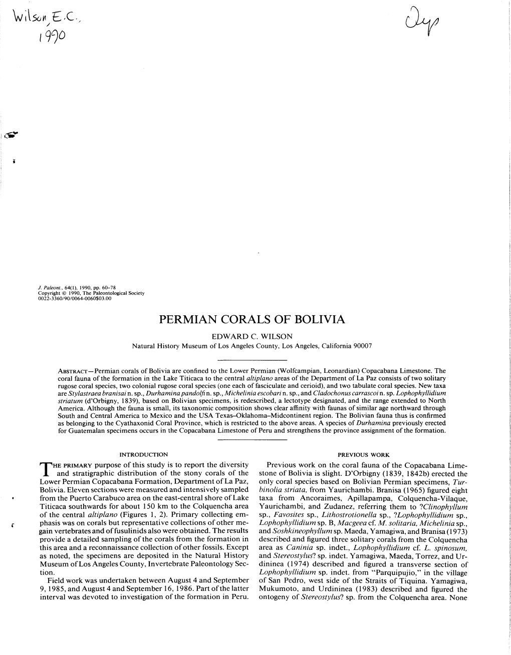 Wsan B-C. PERMIAN CORALS of BOLIVIA