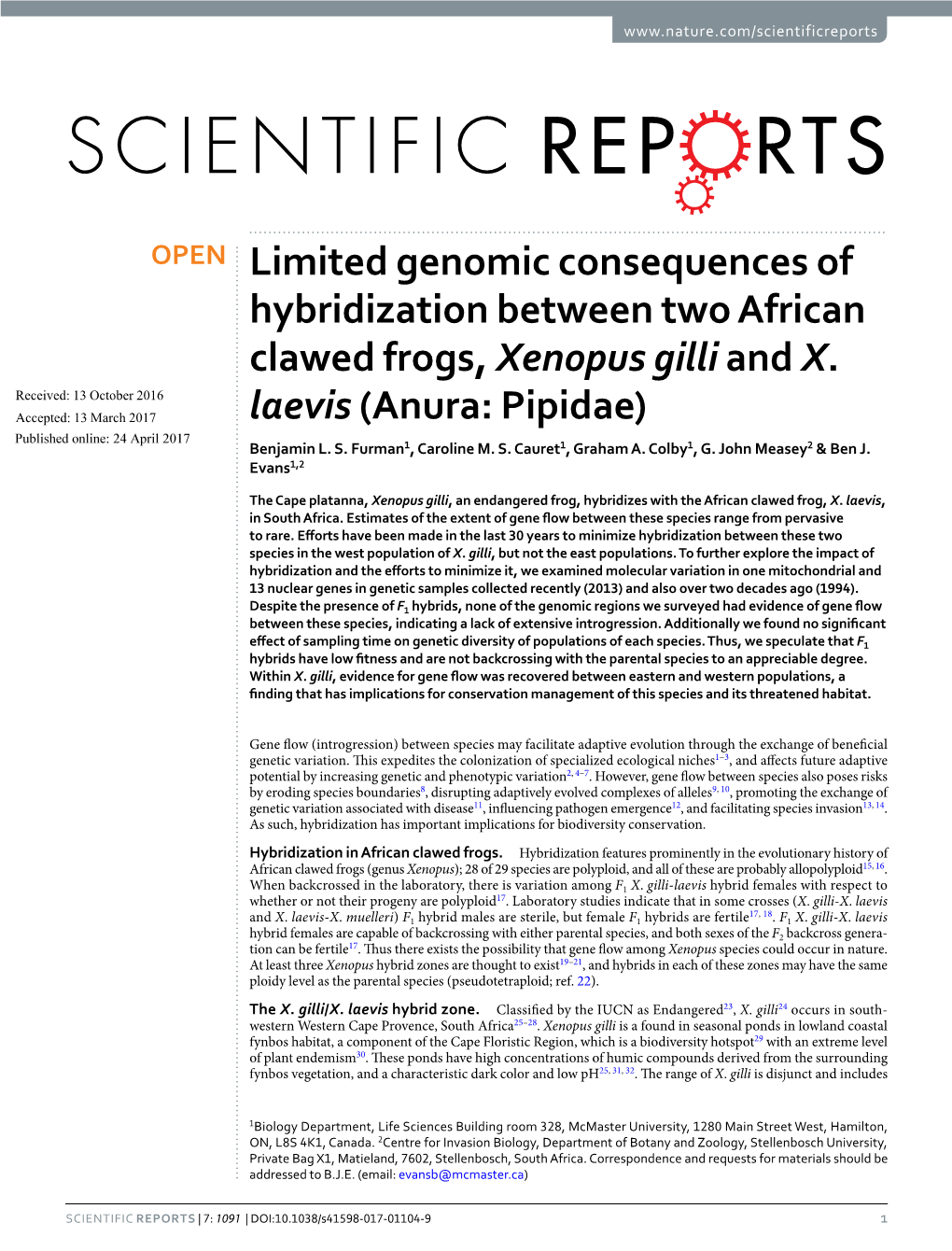 Limited Genomic Consequences of Hybridization Between Two African Clawed Frogs, Xenopus Gilliand X. Laevis(Anura: Pipidae)