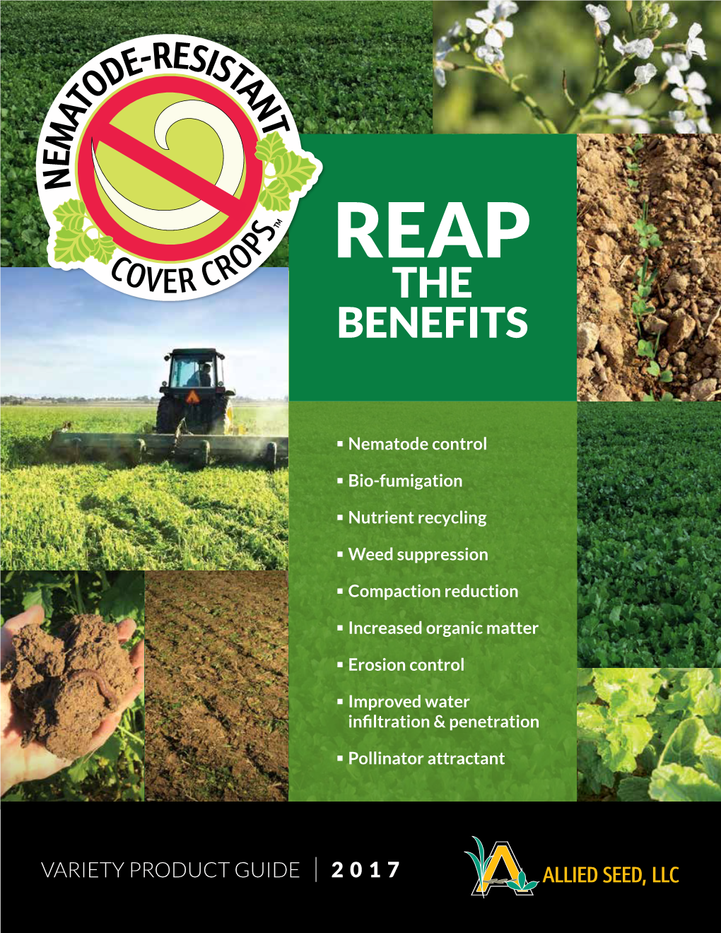 Download Nematode Resistant Cover Crop Brochure