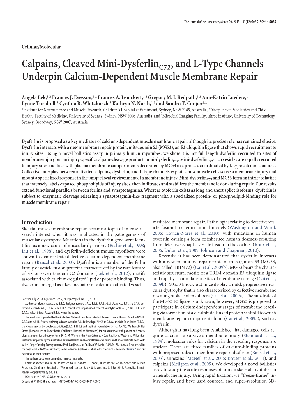 Calpains, Cleaved Mini-Dysferlinc72 , and L-Type Channels Underpin