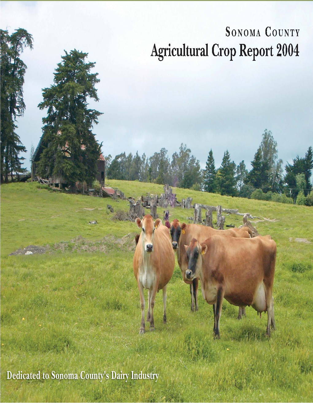 2004 Crop Report