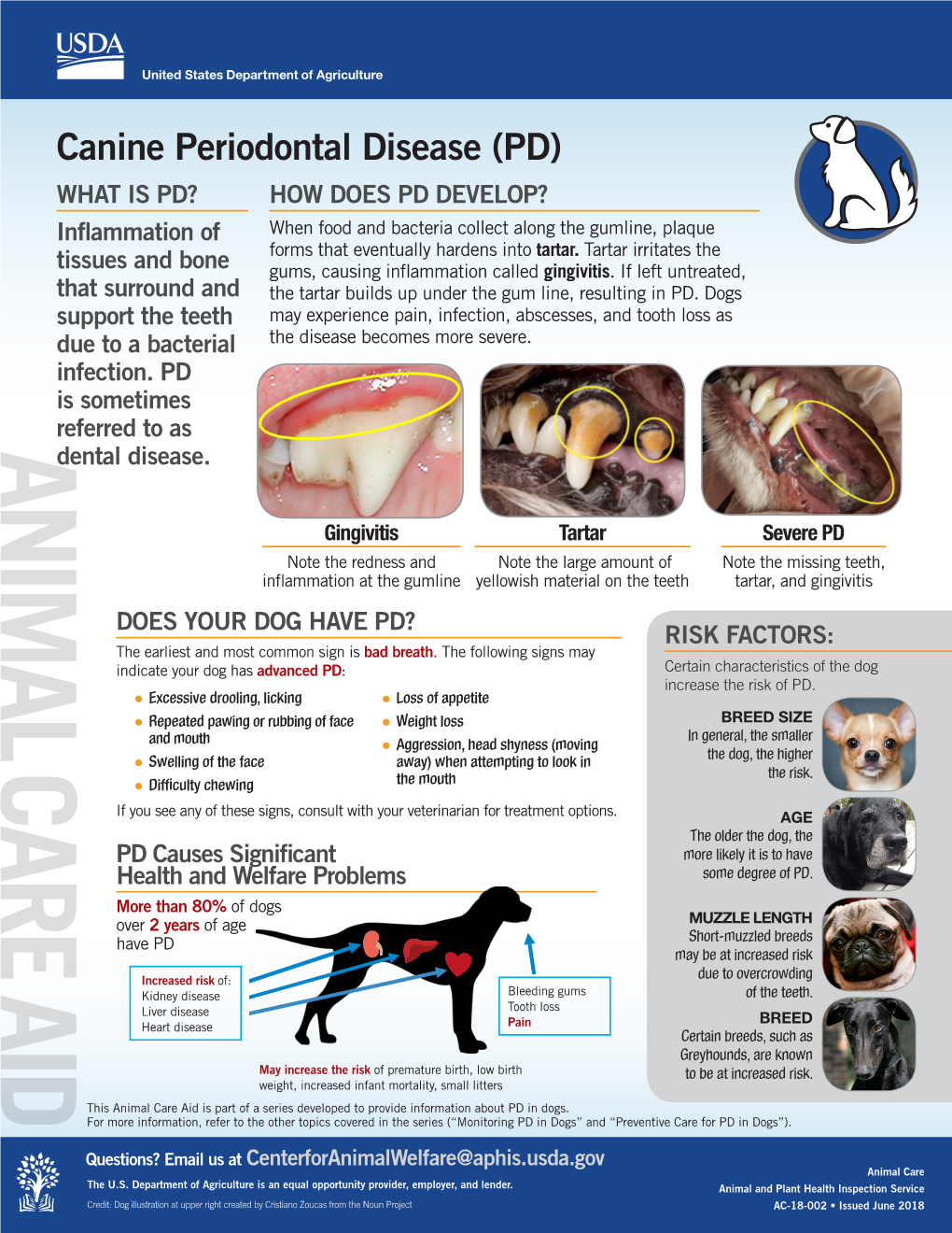 Periodontal Disease (PD) Disease Periodontal Canine ANIMAL CARE AID