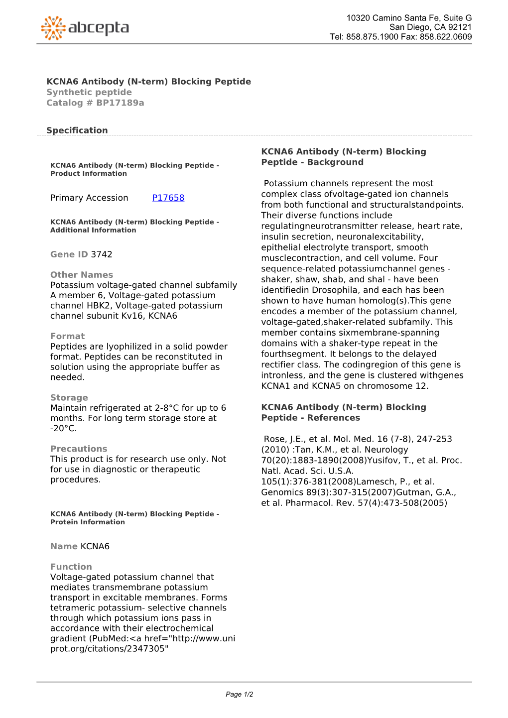 KCNA6 Antibody (N-Term) Blocking Peptide Synthetic Peptide Catalog # Bp17189a