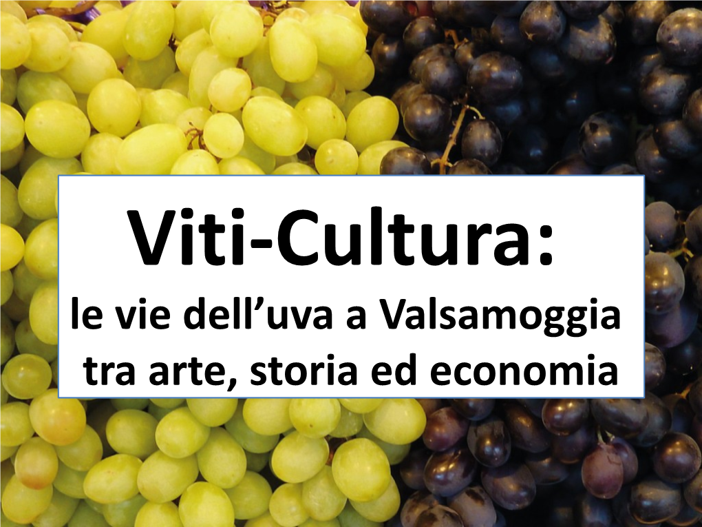 Le Vie Dell'uva a Valsamoggia Tra Arte, Storia Ed Economia