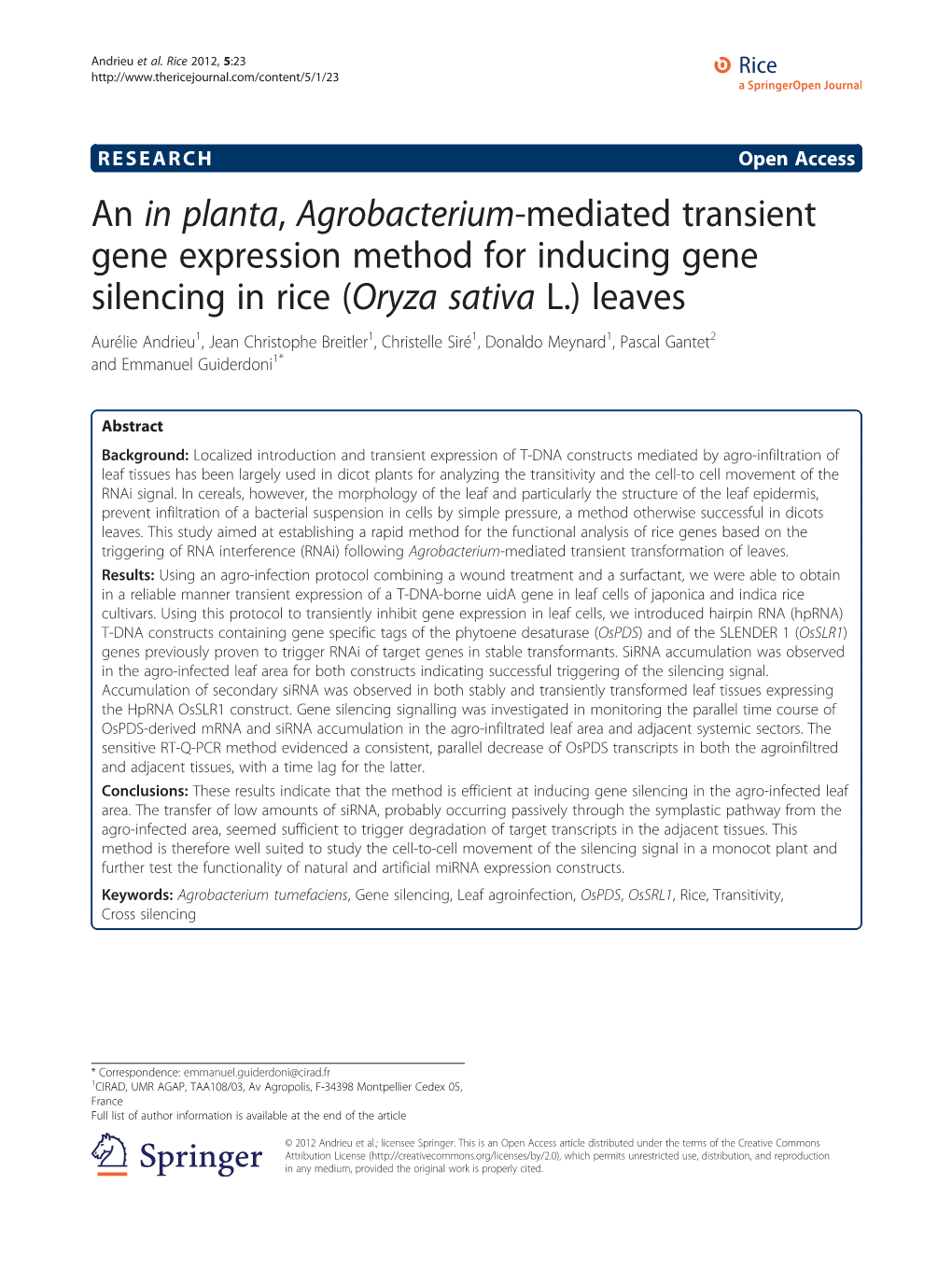 An in Planta, Agrobacterium-Mediated Transient Gene Expression