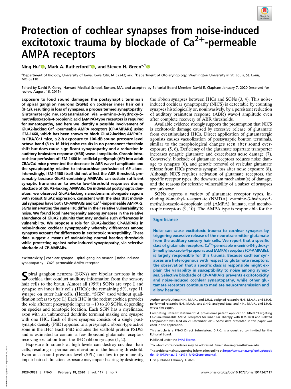 Protection of Cochlear Synapses from Noise-Induced Excitotoxic Trauma by Blockade of Ca2+-Permeable AMPA Receptors