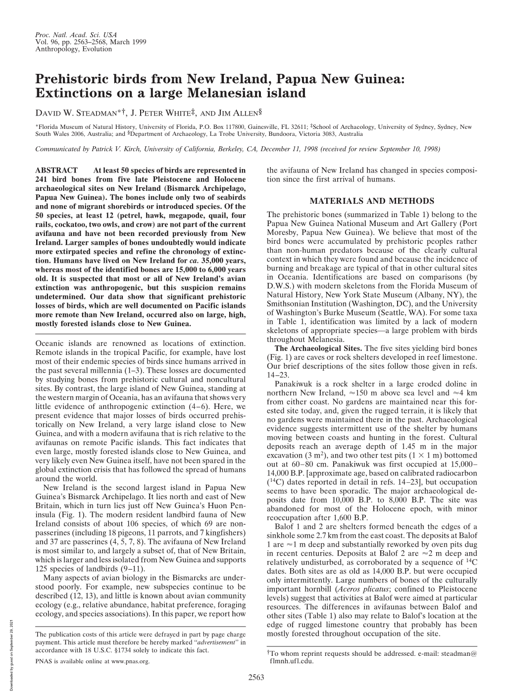 Prehistoric Birds from New Ireland, Papua New Guinea: Extinctions on a Large Melanesian Island