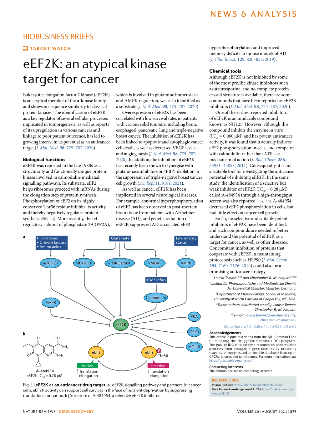 Eef2k: an Atypical Kinase Target for Cancer