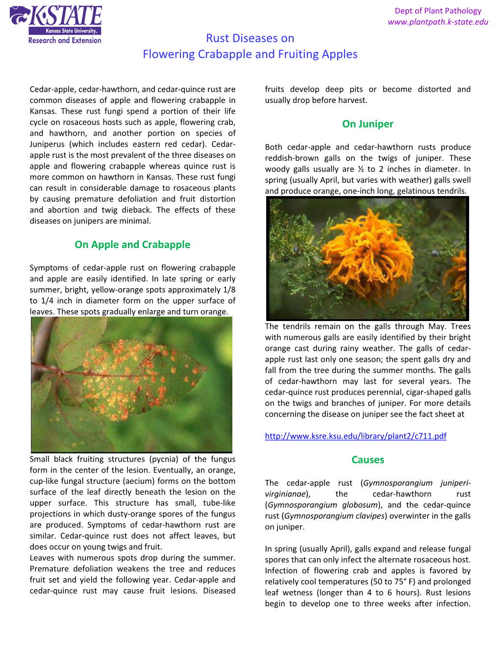 Rust Diseases on Flowering Crabapple and Fruiting Apples