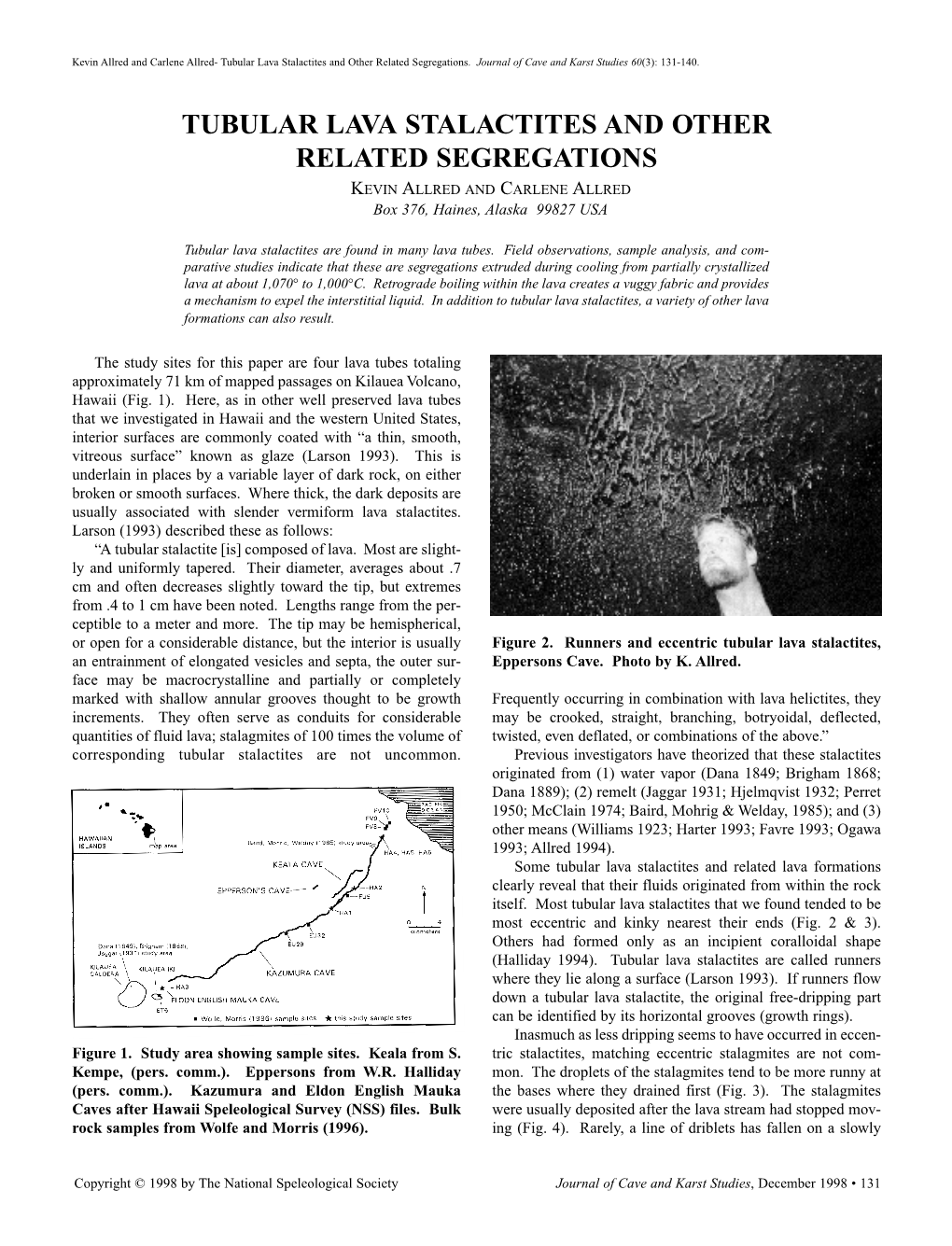 Tubular Lava Stalactites and Other Related Segregations