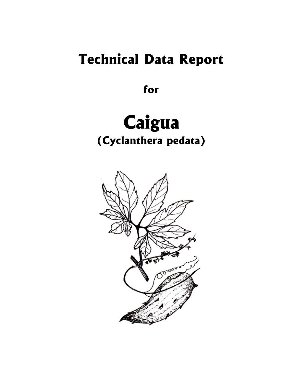 Caigua Tech Report