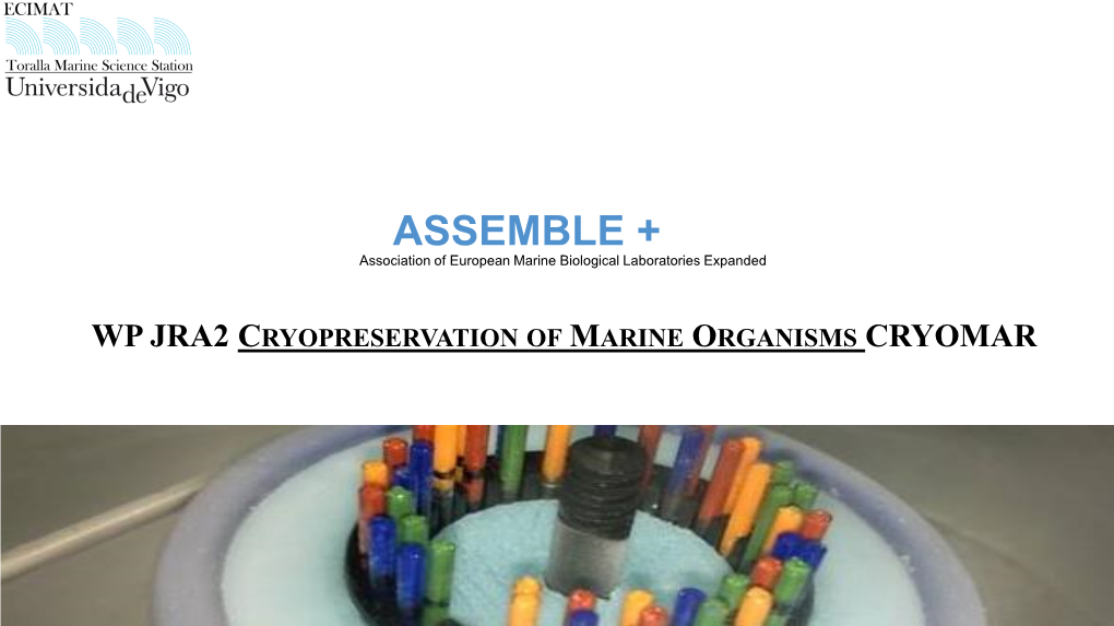 WP8 – JRA2 Cryobanking of Marine Organisms