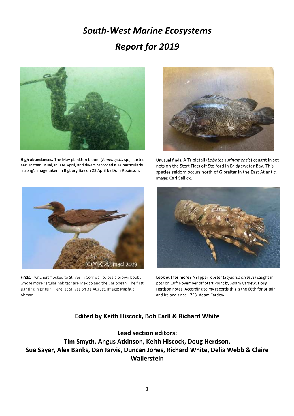 South-West Marine Ecosystems Report for 2019