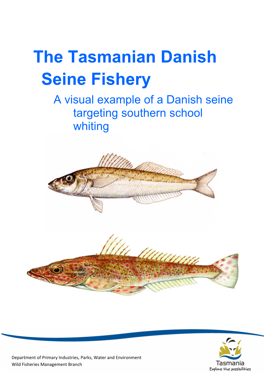 The Tasmanian Danish Seine Fishery a Visual Example of a Danish Seine Targeting Southern School Whiting