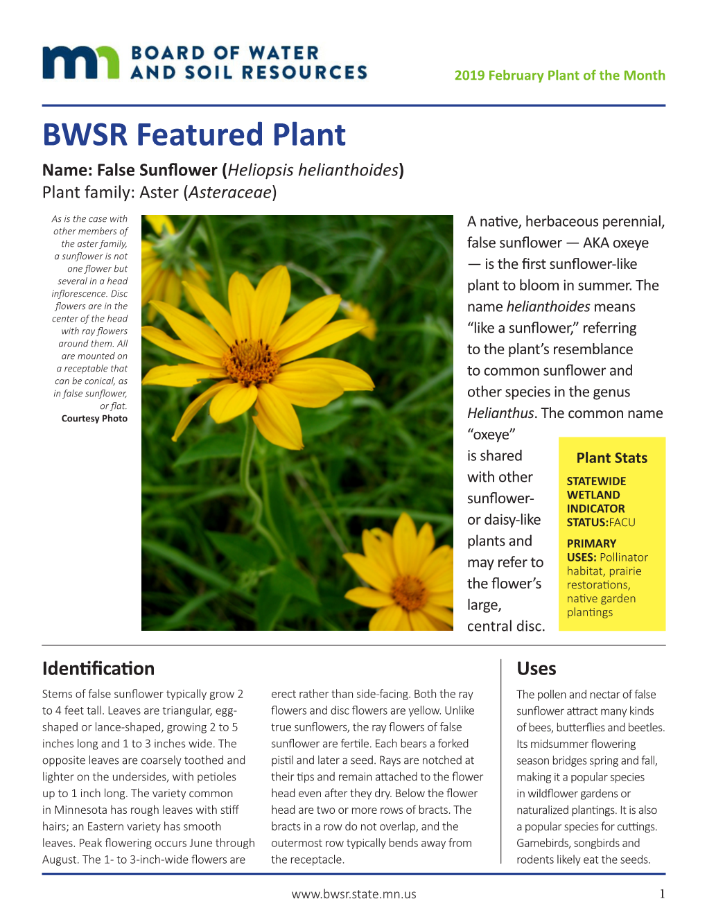 BWSR Featured Plant