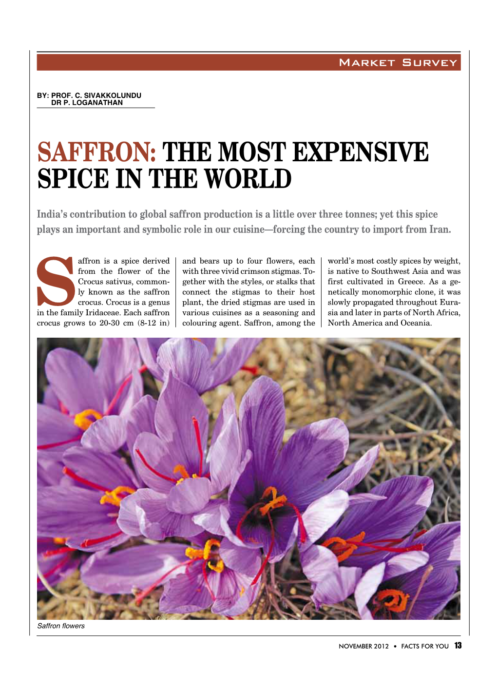 Saffron: the Most Expensive Spice in the World