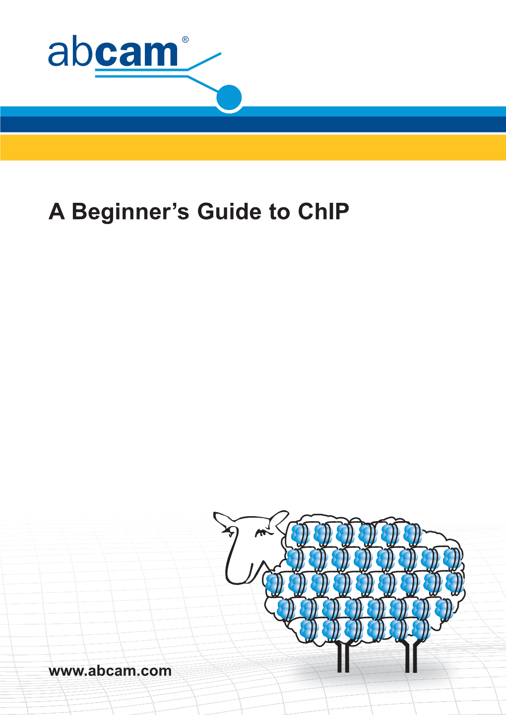 A Beginner's Guide to Chip