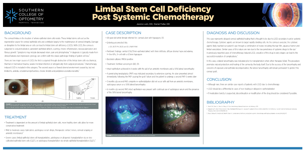 Background Treatment Case Description Diagnosis And