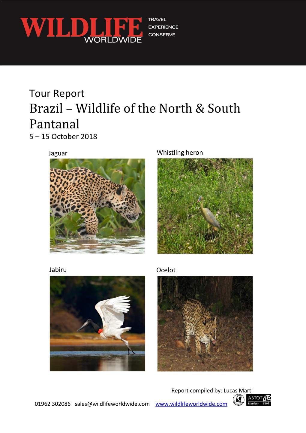 Wildlife of the North & South Pantanal