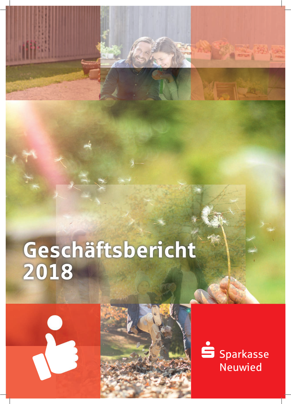 Geschäftsbericht 2018