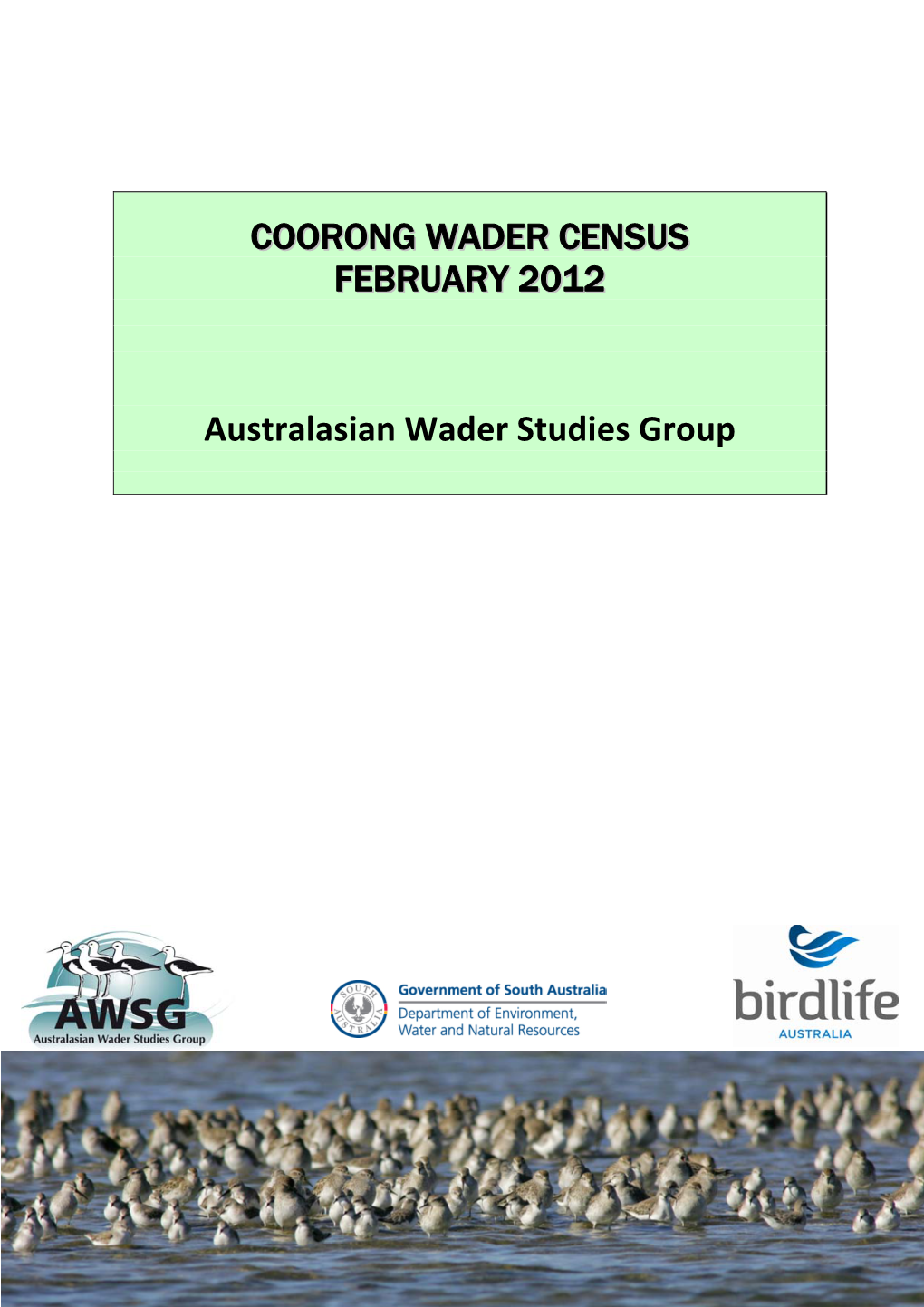 Wader Surveys in the Coorong & S
