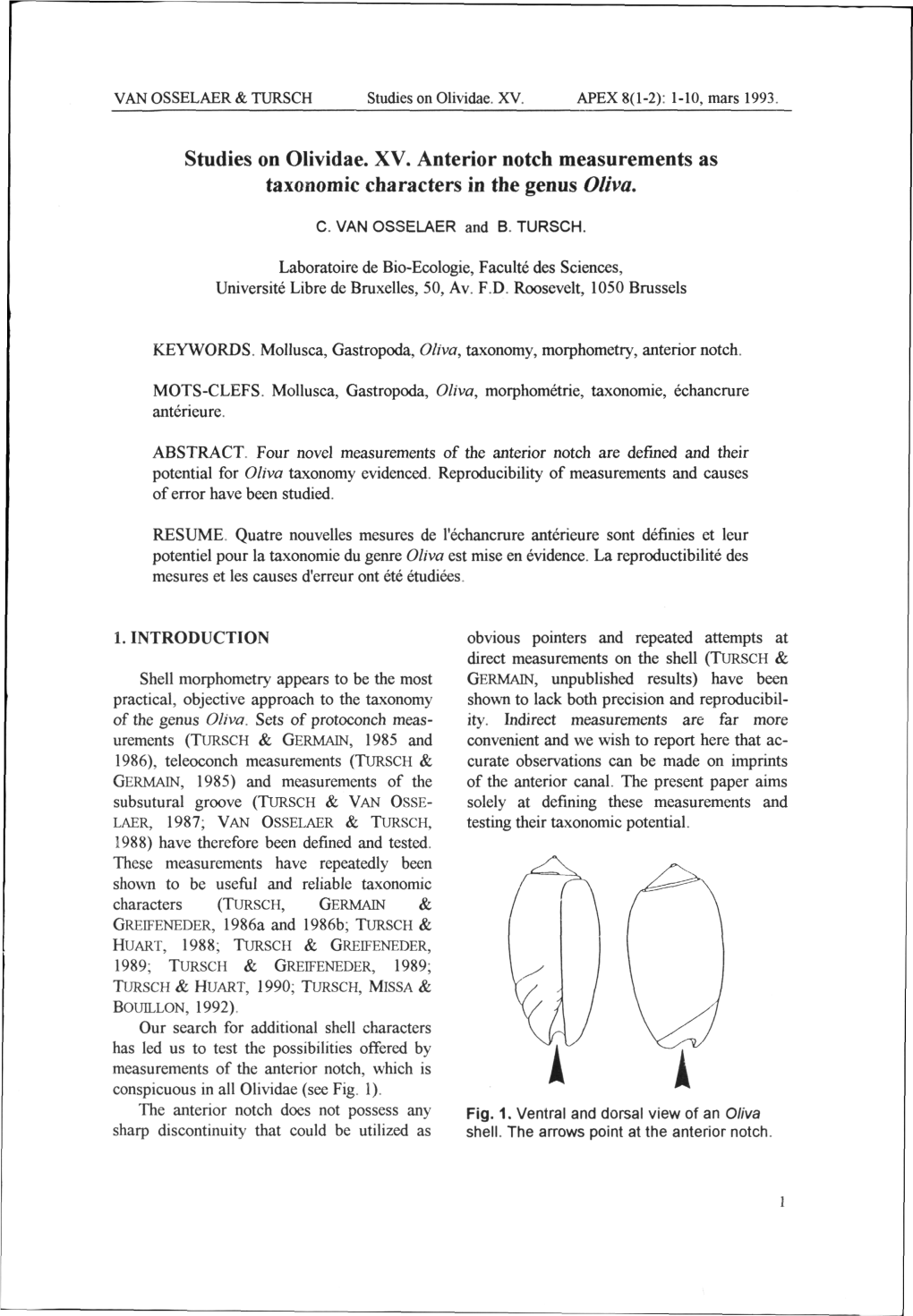 Studies on Olividae. XV. Anterior Notch Measurements As Taxonomie Characters in the Genus Oliva