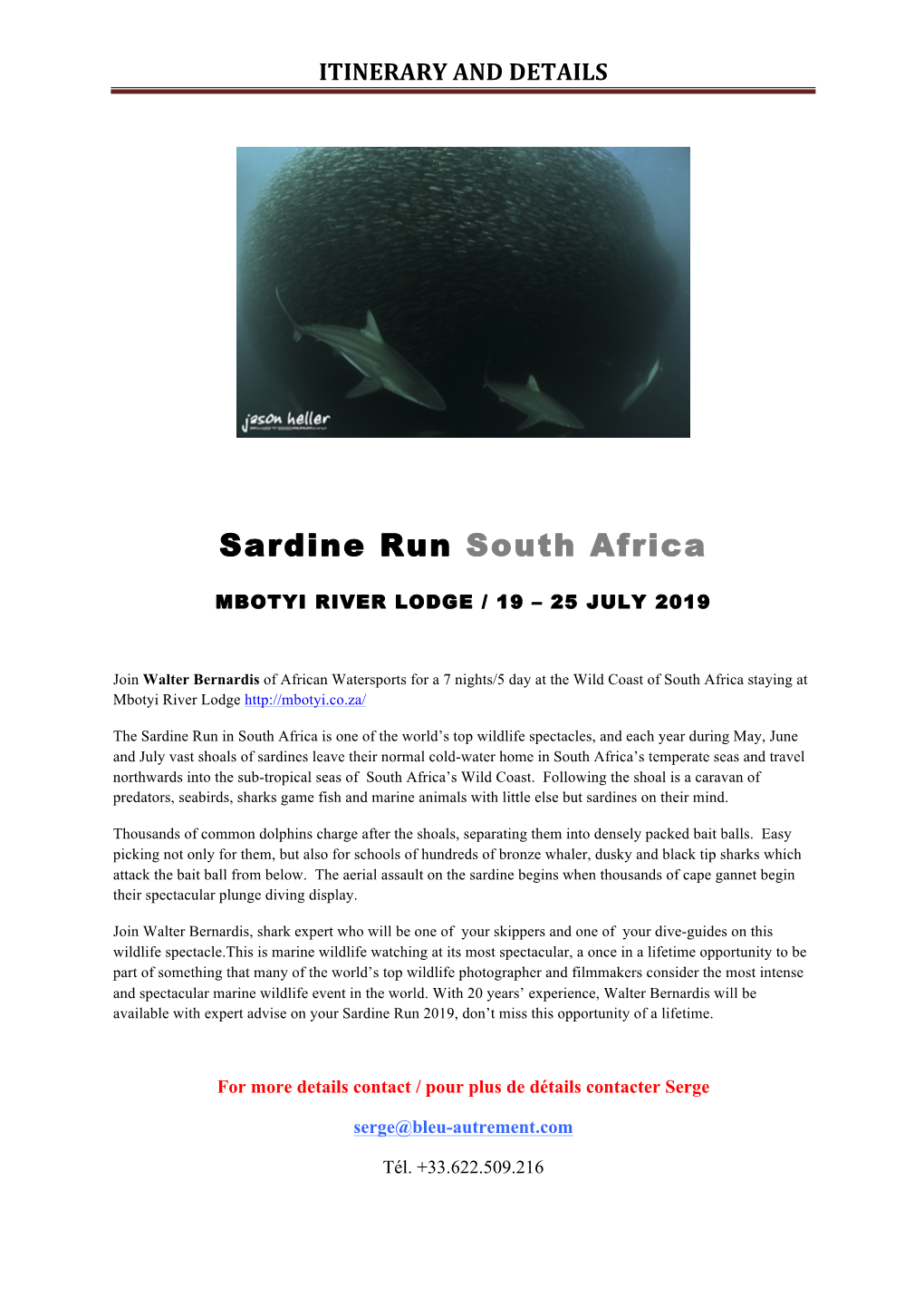 Sardine Run South Africa