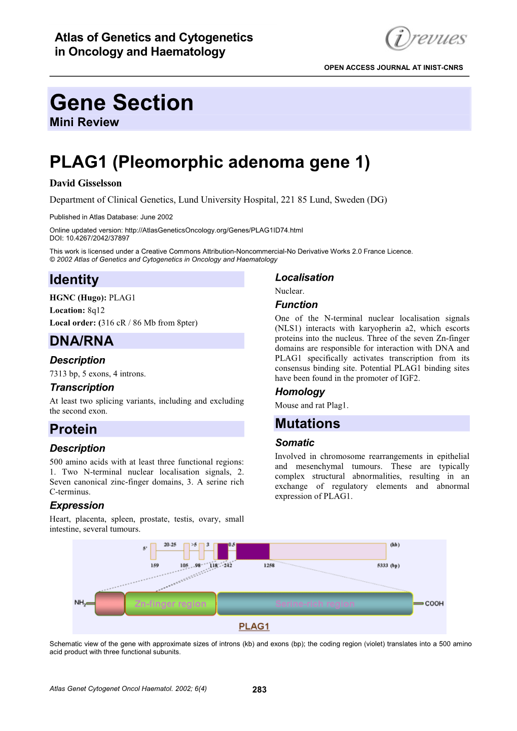 Gene Section Mini Review