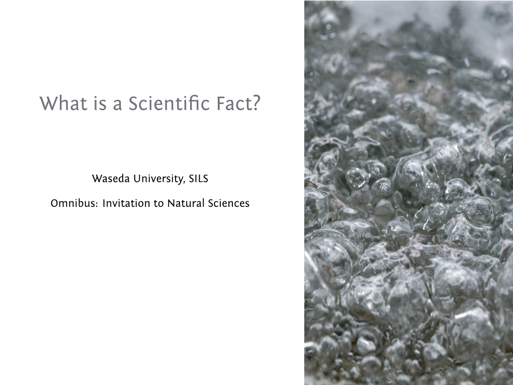 What Is a Scientific Fact?