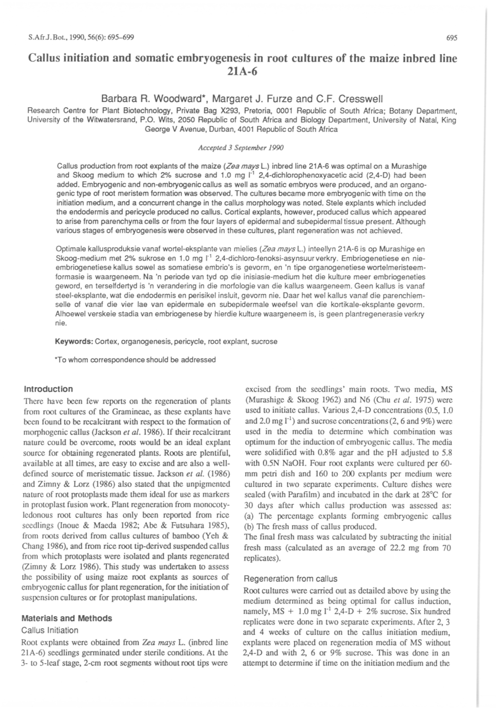 Callus Initiation and Somatic Embryogenesis in Root Cultures of the Maize Inbred Line 21A-6