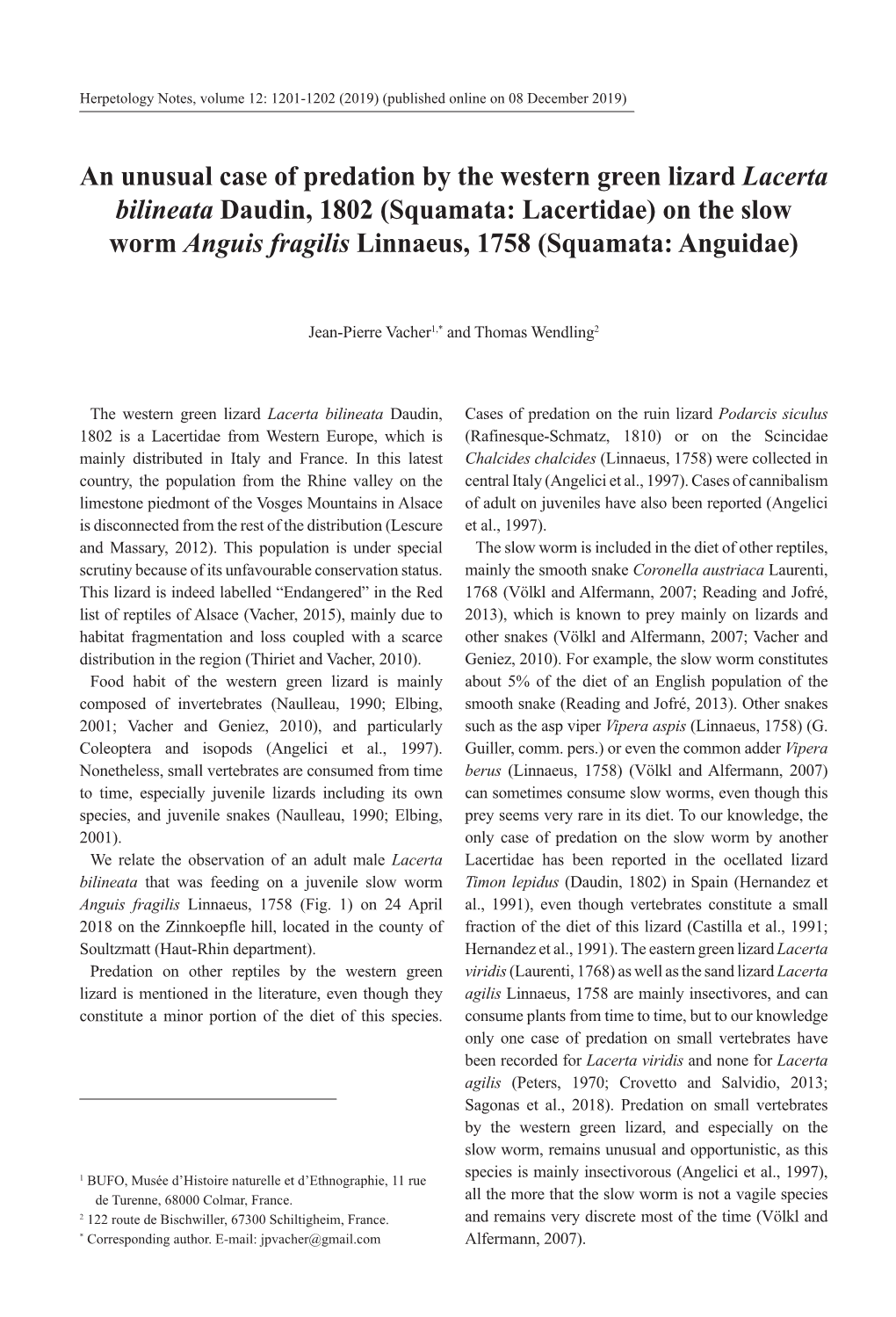 On the Slow Worm Anguis Fragilis Linnaeus, 1758 (Squamata: Anguidae)