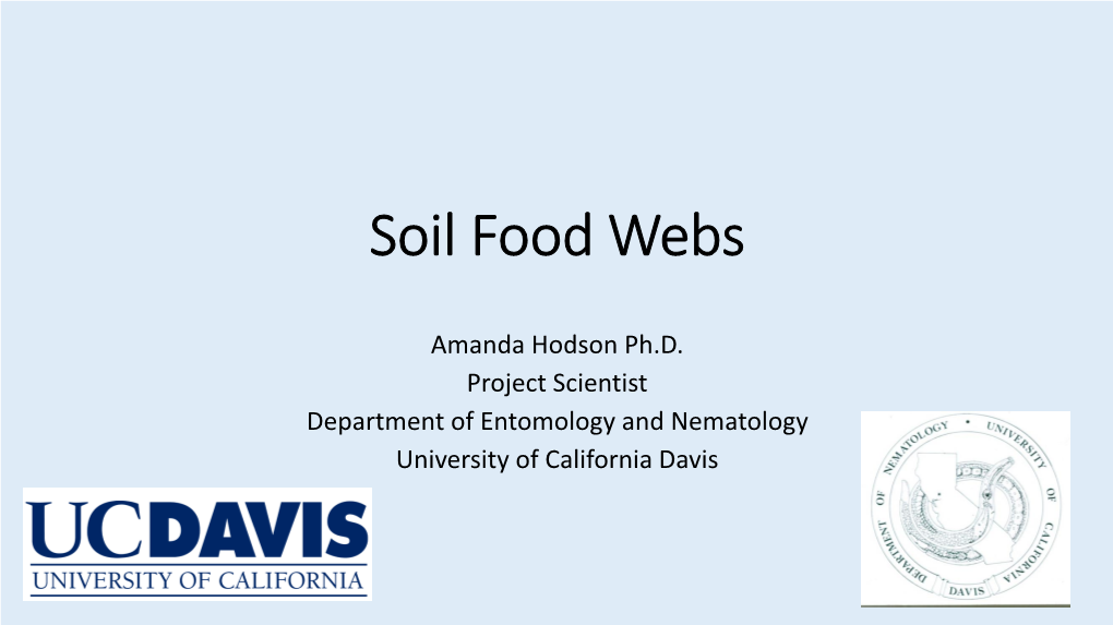 Soil Food Webs