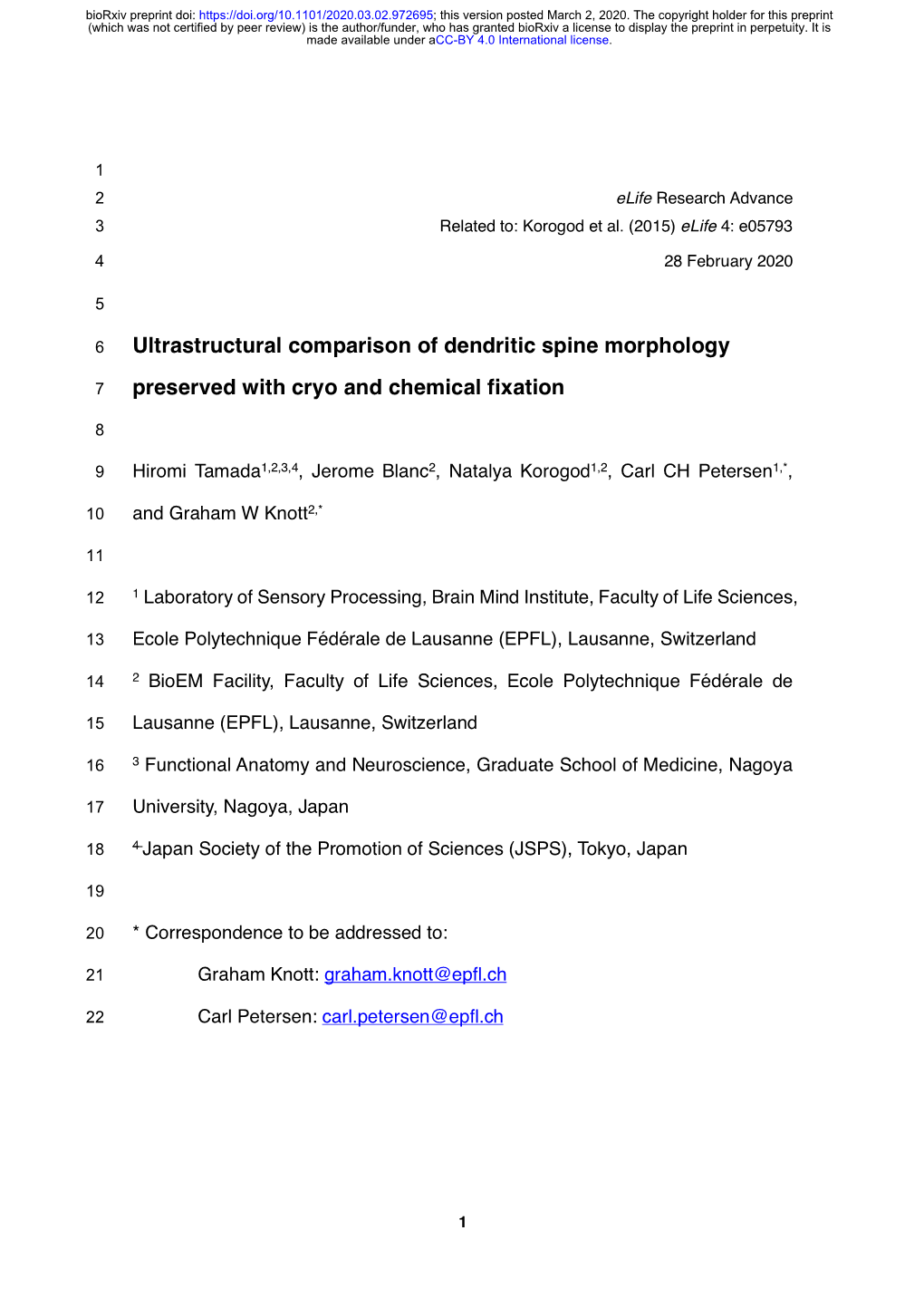 Ultrastructural Comparison of Dendritic Spine Morphology