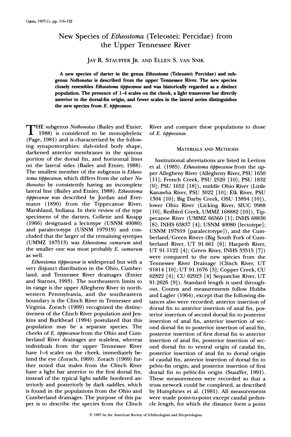 New Species of Etheostoma (Teleostei: Percidae) from the Upper