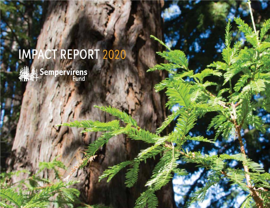 Sempervirens Fund 2020 Impact Report